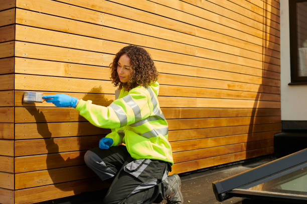 Professional Siding in Forreston, IL